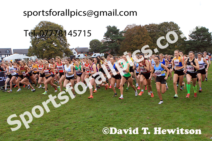 Senior Womens 2024 National Cross Country Relays, Berry Hill Park, Mansfield.   Photo: David T. Hewitson/Sports for All Pics